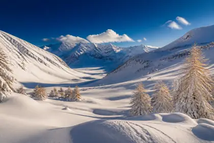 Ampia valle alpina innevata con larici carichi di neve e pendii aperti