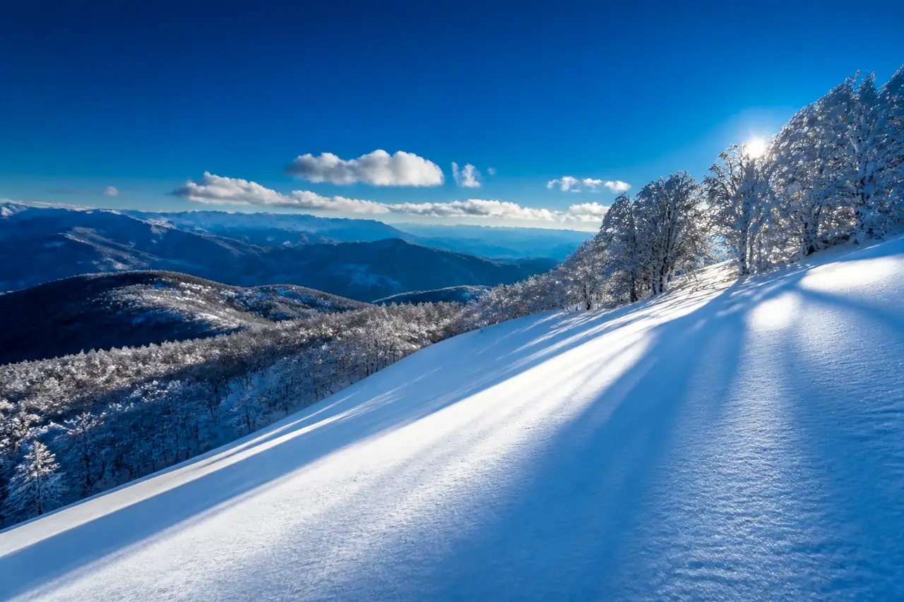 Pendio innevato sopra una faggeta spoglia, con creste appenniniche in lontananza