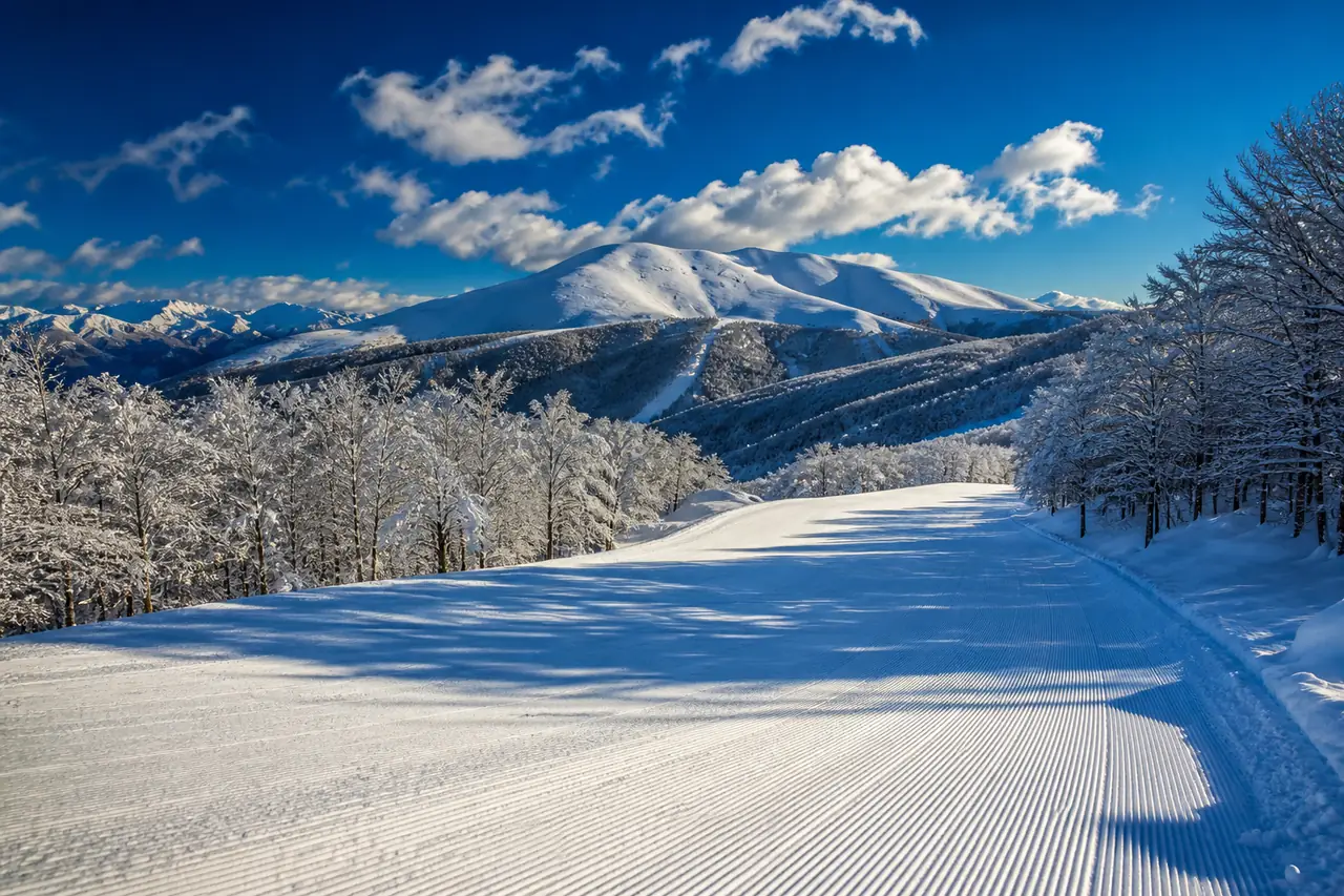 Piste larghe e battute che scendono fra faggeti innevati, con cime appenniniche illuminate dal sole